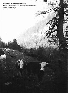 COLO JEUNE FRANCE 1952 col des Ayes